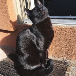 Meet your Posher, Ethyopia